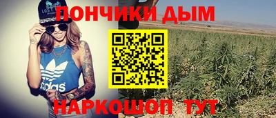 дмт Тулун
